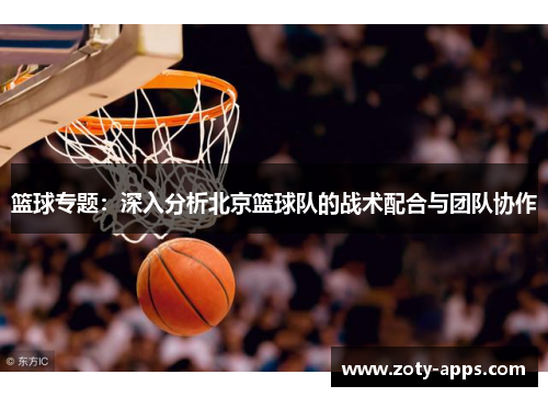 篮球专题：深入分析北京篮球队的战术配合与团队协作